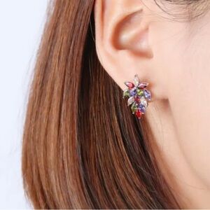 NWT Colorful Crystal Clip On Earrings